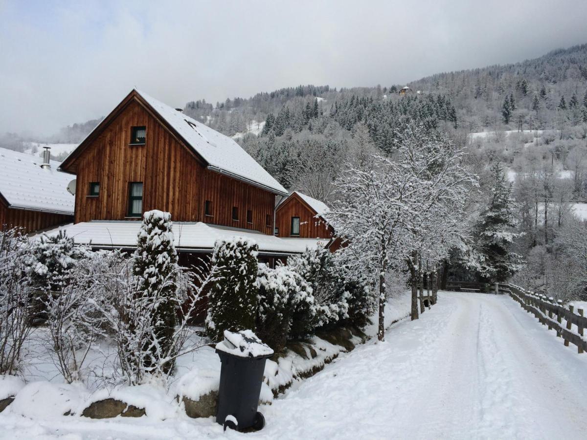 Alpenferienhaus Kreischberg 장크트 로렌첸 오프 무라우 외부 사진